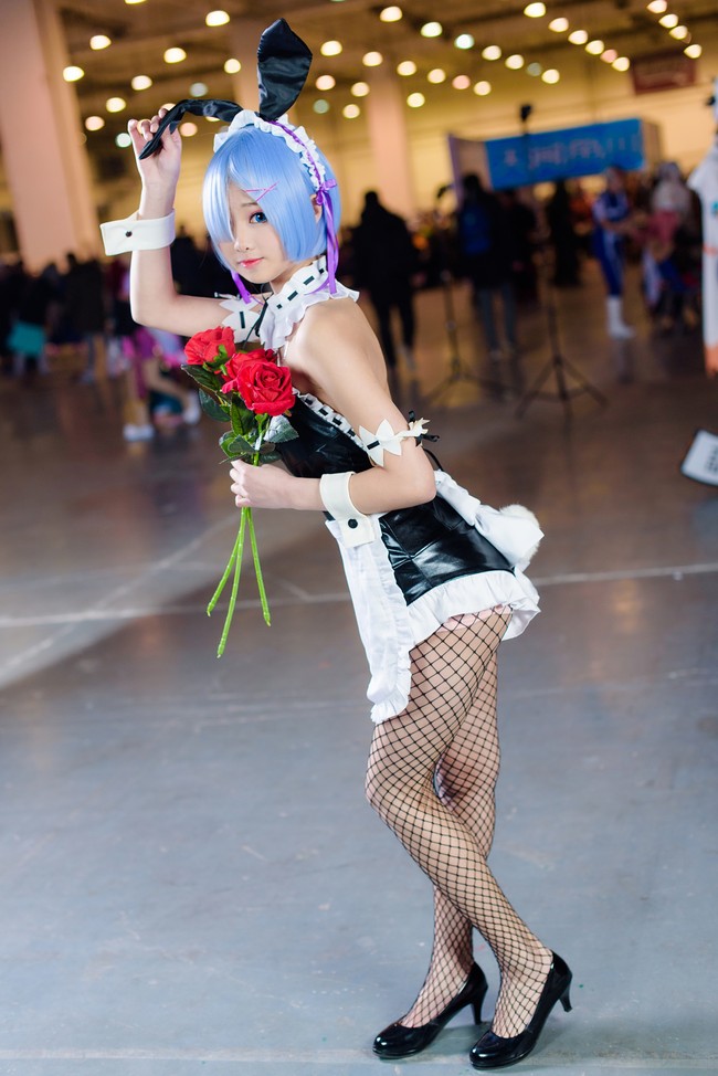 半岛·官方站线登入页面